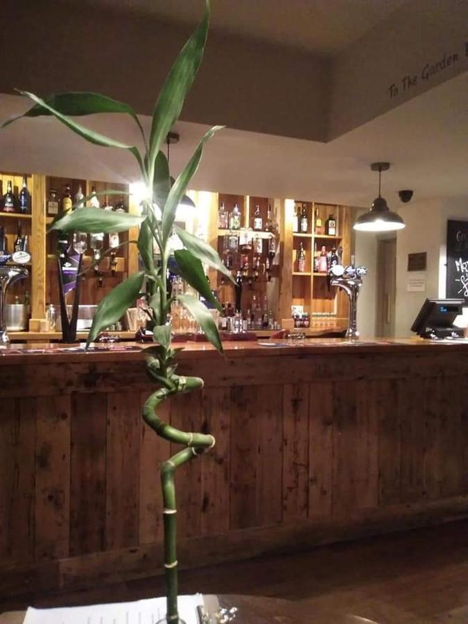 Hotel The Stag à Northwood  Extérieur photo